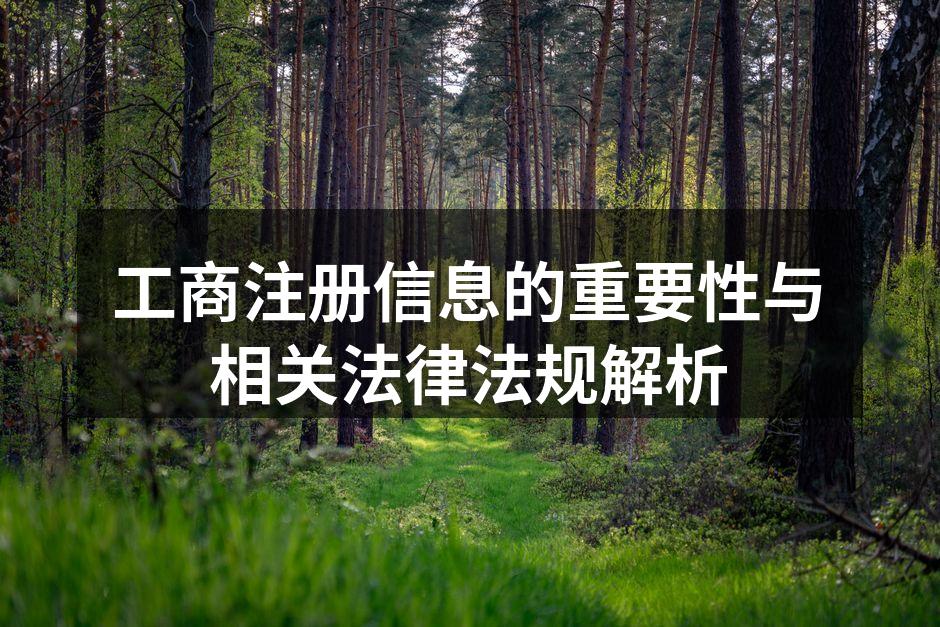 工商注册流程图示