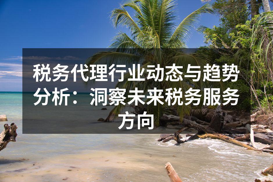 税务代理行业分析图