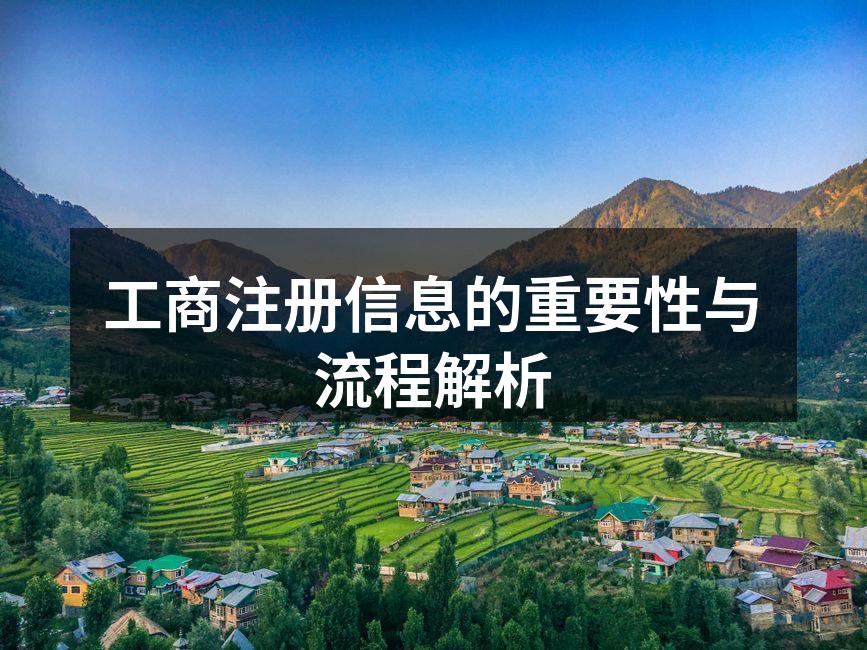 工商注册流程示意图