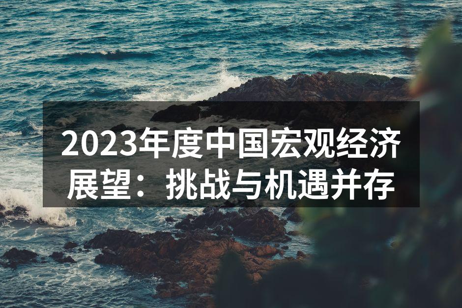 2023中国经济逆风而行