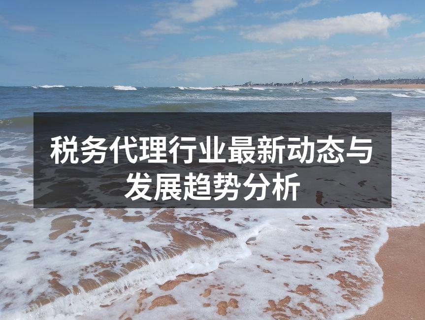 税务代理行业快速发展的趋势